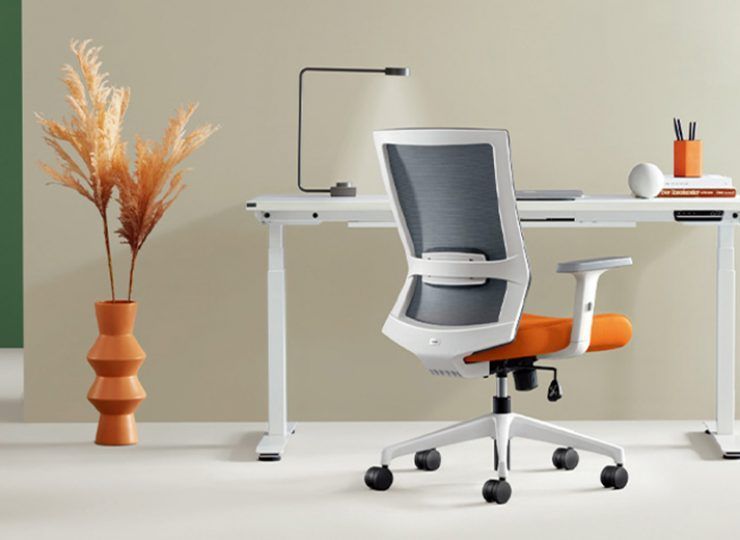 Iron Ergonomic Posture Chair_02