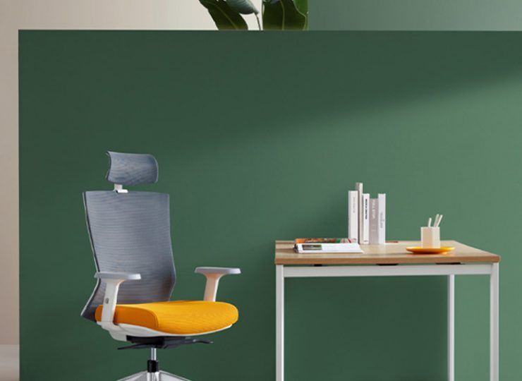 Iron Ergonomic Posture Chair_06