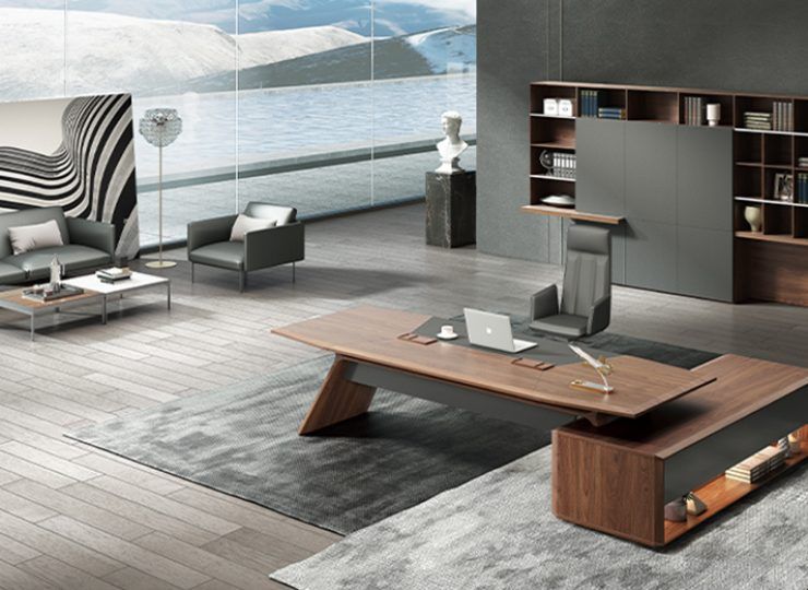 Aulenti Leather Sofa_09